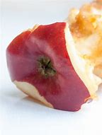Image result for Rotting Apple Core