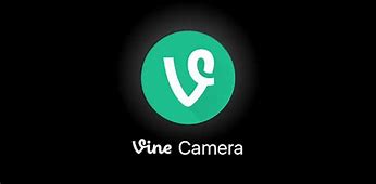 Image result for Vine Camera PC