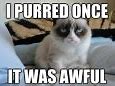Image result for Grumpy Cat Memes Joke