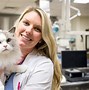 Image result for Communication and Veterinary Professional Support Services