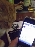 Image result for iPhone Cat Cases