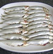Image result for Sprat Fish Size