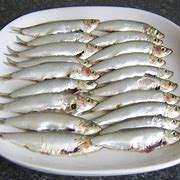 Image result for Sprat Fish Jamaica