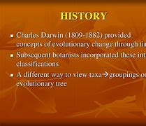 Image result for Darwin Evolution Tree