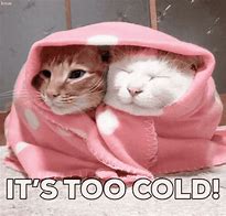 Image result for Freezing Weather Meme