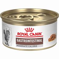 Image result for Royal Canin Gastrointestinal Cat Food