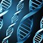 Image result for Droid DNA Wallpaper