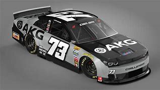 Image result for Old Cool NASCAR Schemes