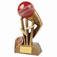 Image result for Cricket Best Fielder Performance Trophy in Glass