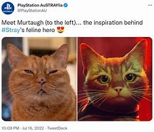 Image result for Stray Game Memes