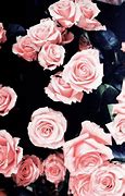 Image result for Rosy Pink Screen
