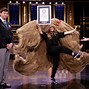 Image result for World's Largest Wig On TV