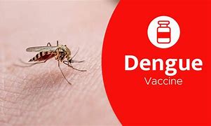 Image result for Dengue Fever Vaccine
