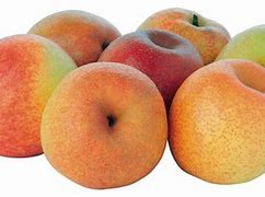 Image result for Crossbreed Apple