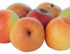 Image result for Apple Pear Hybrid Fruit