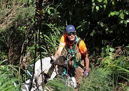Image result for Contractors during the Bush Fore Recover Project