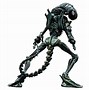 Image result for Aliens Xenomorph Warrior