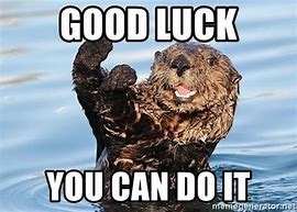 Image result for Good Luck You Can Do It