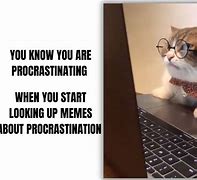 Image result for Procrastinate Meme