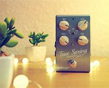 Image result for Befaco Spring Reverb