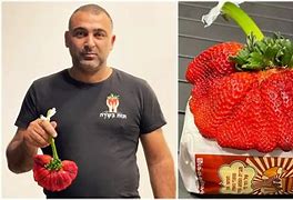 Image result for World's Largest Strawberry