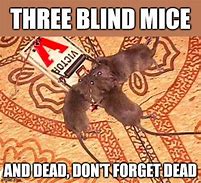 Image result for Blind Mouse Meme
