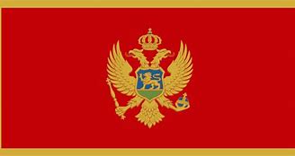 Image result for Flag of Montenegro