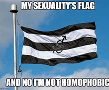 Image result for Straight Flag Memes