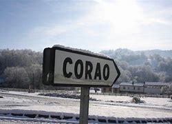 Image result for corao�fero