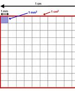 Image result for How Big Is 20 Square Cm