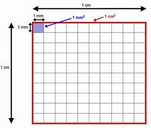 Image result for Millimeter Graph Paper Word Template