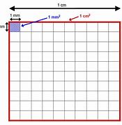 Image result for How Big Is 3000000 Square Centimeters