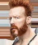 Image result for Sheamus and John Cena Friends