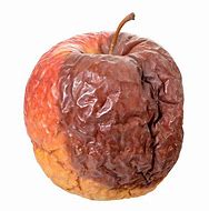 Image result for A Bad Rotten Apple