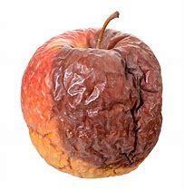 Image result for Rotten Apple Head