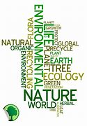 Image result for Words Relating to Environment