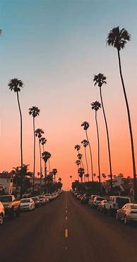 Image result for Aesthetic iPhone 12 Wallpapers