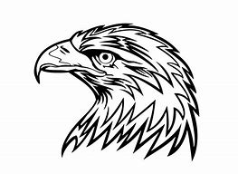 Image result for Eagle Head Line Drawing