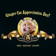 Image result for Ginger Cat Appreciation Day Meme