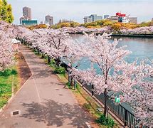 Image result for Osaka Park