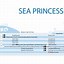 Image result for Sea Cruise Ship