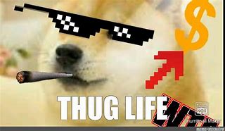 Image result for Meme Template Thug Life