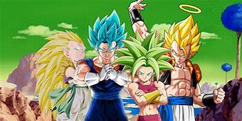 Image result for Dragon Ball Z All Fusions