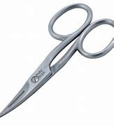Image result for Stainless Steel Nail Scissors