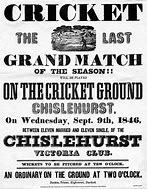 Image result for Cricket Match