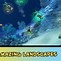Image result for Android Divemaster