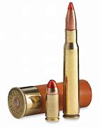 Image result for 10/22 Ammo