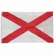 Image result for White Flag with Red X