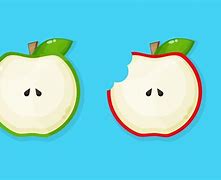 Image result for Apple Slices Cartoon