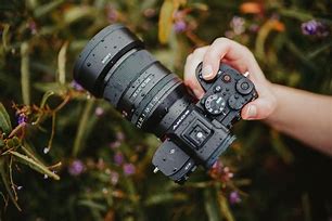 Image result for sony alpha a7 iv sample photos